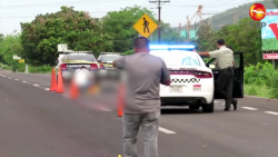 Fallece atropellado en la carretera, hacia el sur