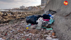 En modificación el Reglamento de Ecología Municipal