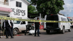 Jovencita  muere  atropellada