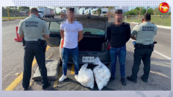 Aseguran droga con valor estimado por 8 MDP