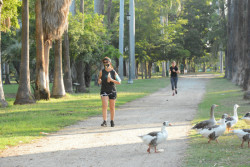 Reabren el parque Sinaloa, solo a deportistas
