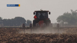 Productores primarios no se benefician de las divisas generadas por las exportaciones