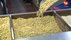 Sube el precio del kilo de frijol a $43.00