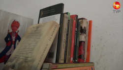 ¡Aprovecha! préstamo de libros a domicilio