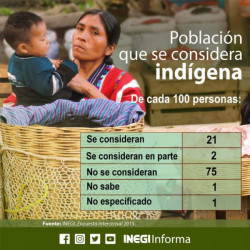 Van hacia la extinción hablantes de lengua indígena