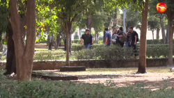 Desempleada la mayor parte de la juventud sinaloense