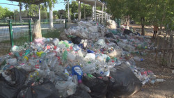 Empiezan a reciclar y la situación se sale de control