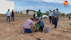 Crearán corredores verdes en Elota