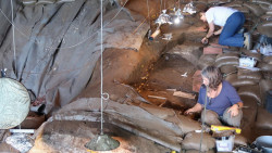 Hallan camas de hierba de hace 227.000 años en un yacimiento de Sudáfrica