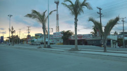 Ordena la ASE iniciar investigación por compra con sobreprecio de lámparas en Mazatlán