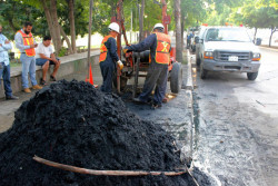 No debemos tirar basura en alcantarillas y drenaje
