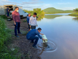 Pescadores reciben el beneficio de la siembra de alevines de tilapia