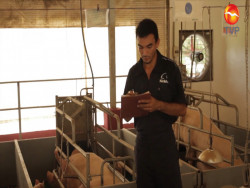 Convocan al “Premio Nacional de Sanidad Animal 2020”