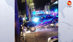 Razer derriba palmera del malecón de Mazatlán
