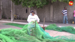 Rederos de Mazatlán esperan repunte trabajo