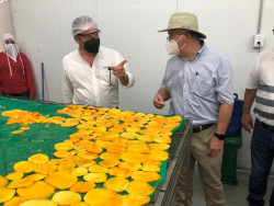 Inicia operaciones la planta deshidratadora de mango impulsada por la AARB