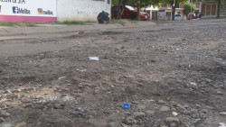 Le echan piedras...pero ahí siguen