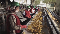Caída estrepitosa de la economía mexicana del - 18.7 por ciento en el segundo trimestre del 2020