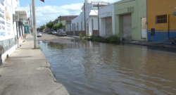 Alberca de aguas negras, afecta a vecinos