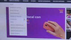 750 empresas sinaloenses ya están en plataforma digital ofreciendo sus servicios