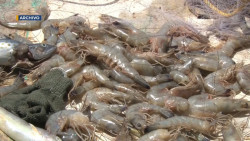 Con agrado reciben pescadores fecha de levantamiento de veda