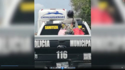 Piden la aplicación de la Ley de Protección Animal en Cajeme