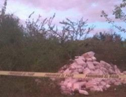 Abandonan dos toneladas y media de mariguana