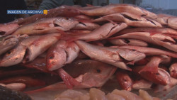 Extreme cuidados en la preparación de alimentos