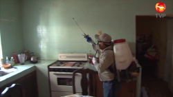 39 Casos de Dengue en zona sur de Sinaloa