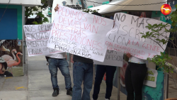 Alzan la voz los trabajadores del Acuario