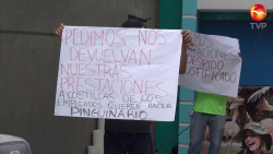 Advierte que será despedida la totalidad del personal en Acuario Mazatlán