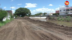 Defenderán hasta con cárcel a árbol en el Jabalines