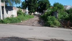 Toman calle de basurero