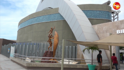 Pide vigilar liquidación de personal en Acuario Mazatlán