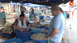 Desde el Corredor Económico del Norte buscan el camarón mazatleco