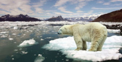El Ártico "se ha calentado tanto que hay una transición hacia un nuevo clima": Nature Climate Change