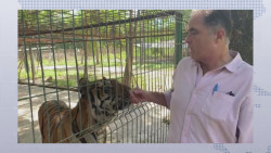 El 80% de los animales a nivel nacional fallecieron luego de la prohibición de participar en espectáculos de circo
