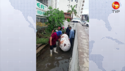 Sacan tanque de gas, escombros y tarimas de ductos y canales en Mazatlán