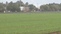 Apoyarán a pequeños productores; Inicia censo