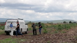 Encuentran persona asesinada y quemada en Costa Rica