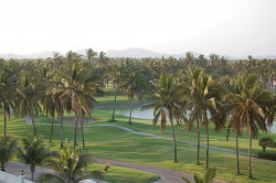 'Sacudirán' a los campos de golf en Mazatlán
