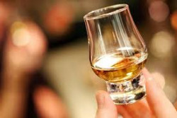 Busca INIFAP desarrollar semilla de cebada para whisky
