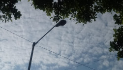 Denuncian el alumbrado público sobre la Avenida 21 de marzo