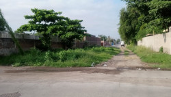 Calle Constituyente Rafael Martínez Escobar llena de maleza