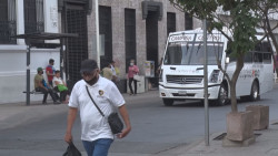 Incrementa en Sinaloa número de micro empleadores