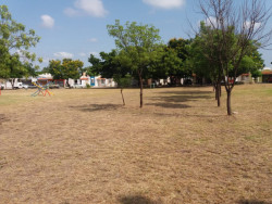 Atiende Ayuntamiento de Culiacán denuncia en parque de La Conquista