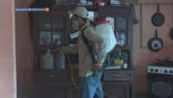 La SSA sí está fumigando contra el dengue