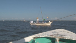 Para la pesca en Sinaloa buscan un presupuesto superior a 93 mdp