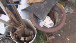 Sigue la campaña de descharrización en Culiacán
