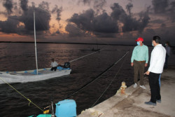 Panorama incierto en la temporada de captura de camarón en Sinaloa